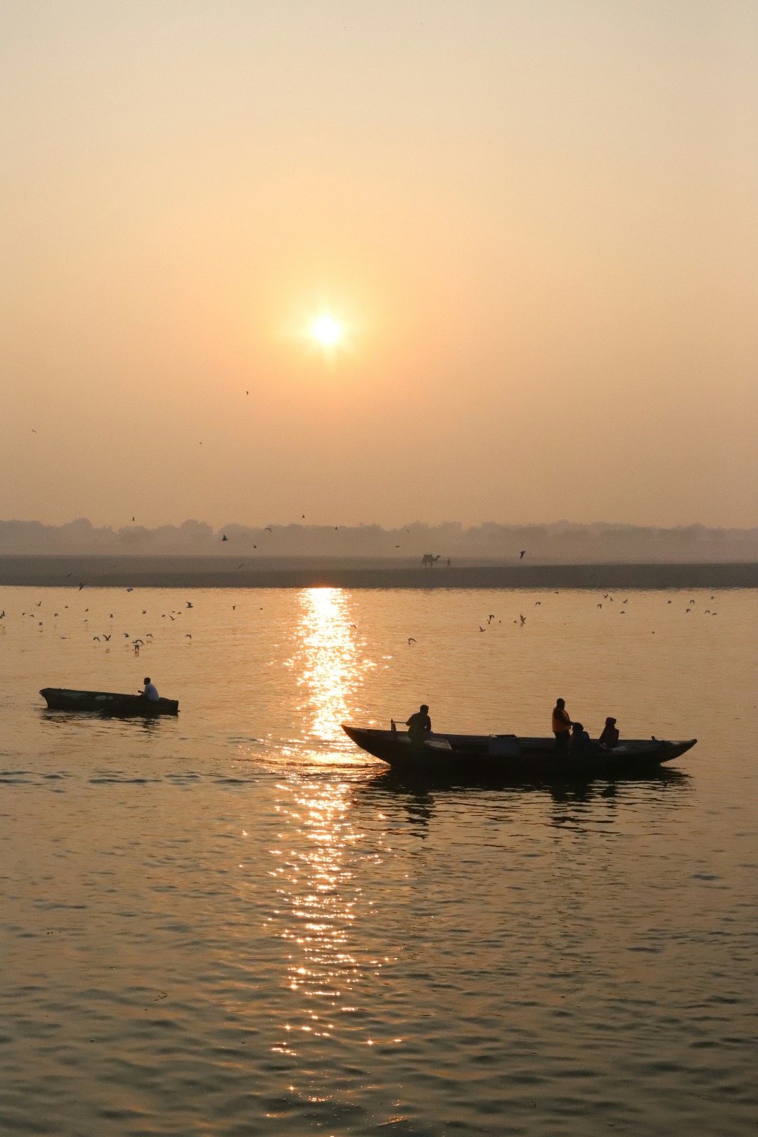 Kashi 2